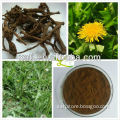 100% natural dried dandelion root extract powder